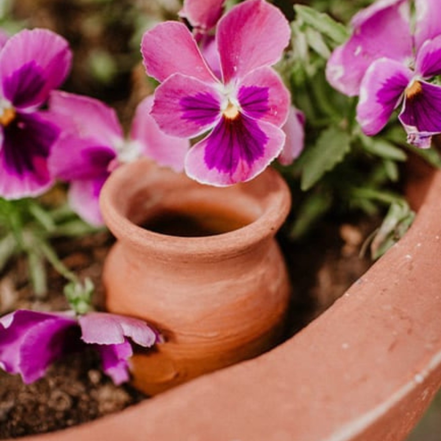 Ollas Cône à planter – Poterie artisanale française | Diffuseur d’eau écologique – Ollas Lutton