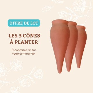 Set of Cone Ollas for Planting 100% Handmade – Ollas Lutton