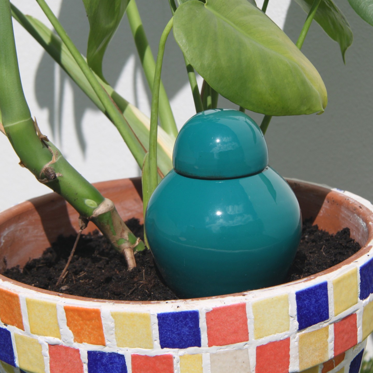 Ollas Sabeur – Ollas Lutton – Autonoomne kastmissüsteem