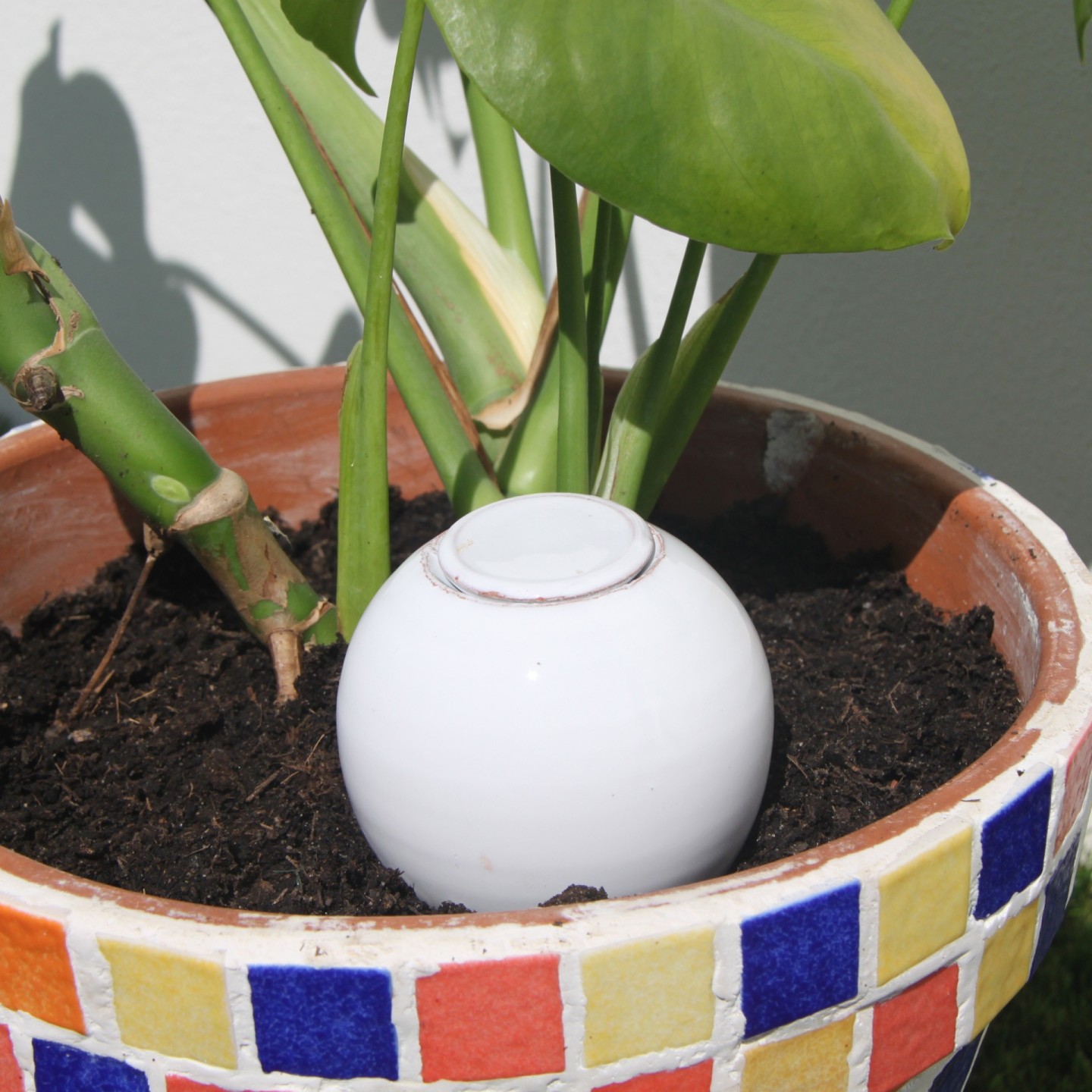 Offrez un arrosage parfait avec notre Coffret d'Ollas pour vos Plantes