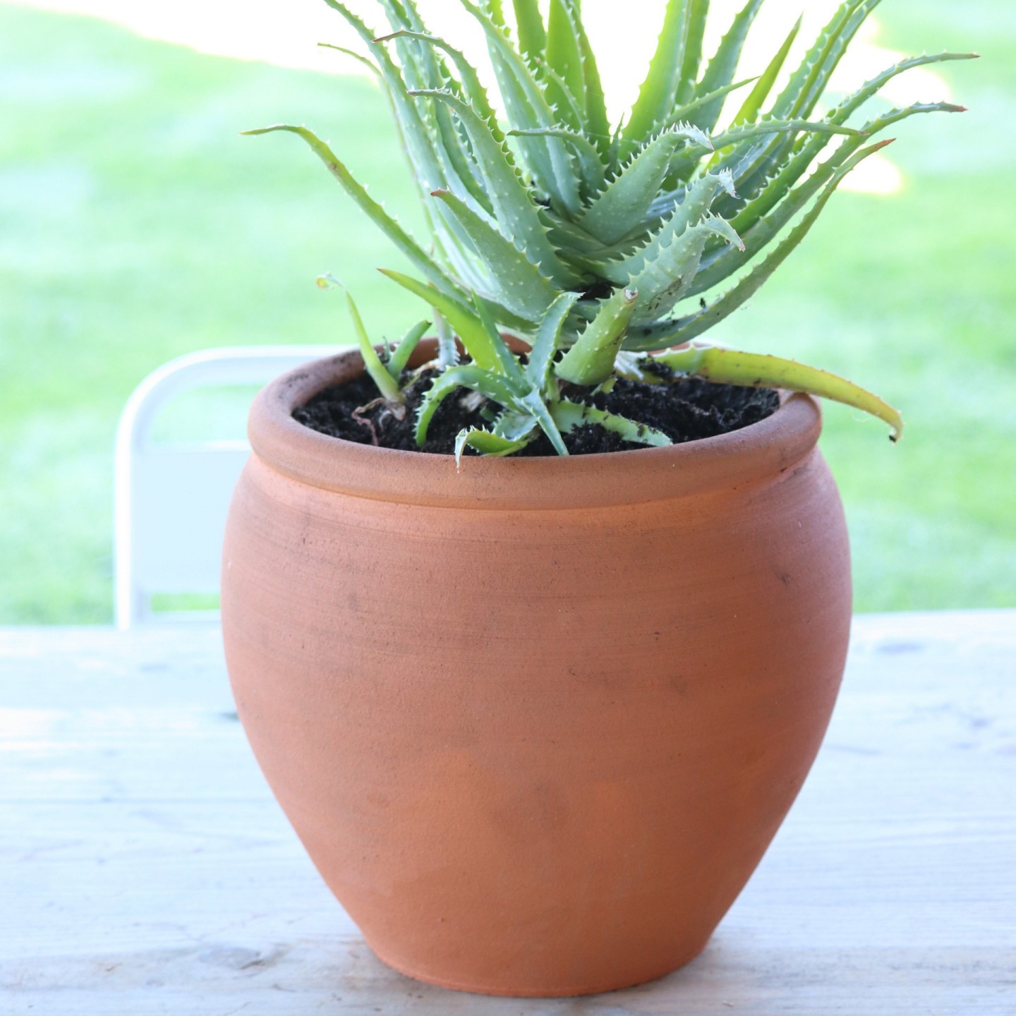 Pot Tradition - Gamme Vendée | Poterie Artisanale Française pour Jardin