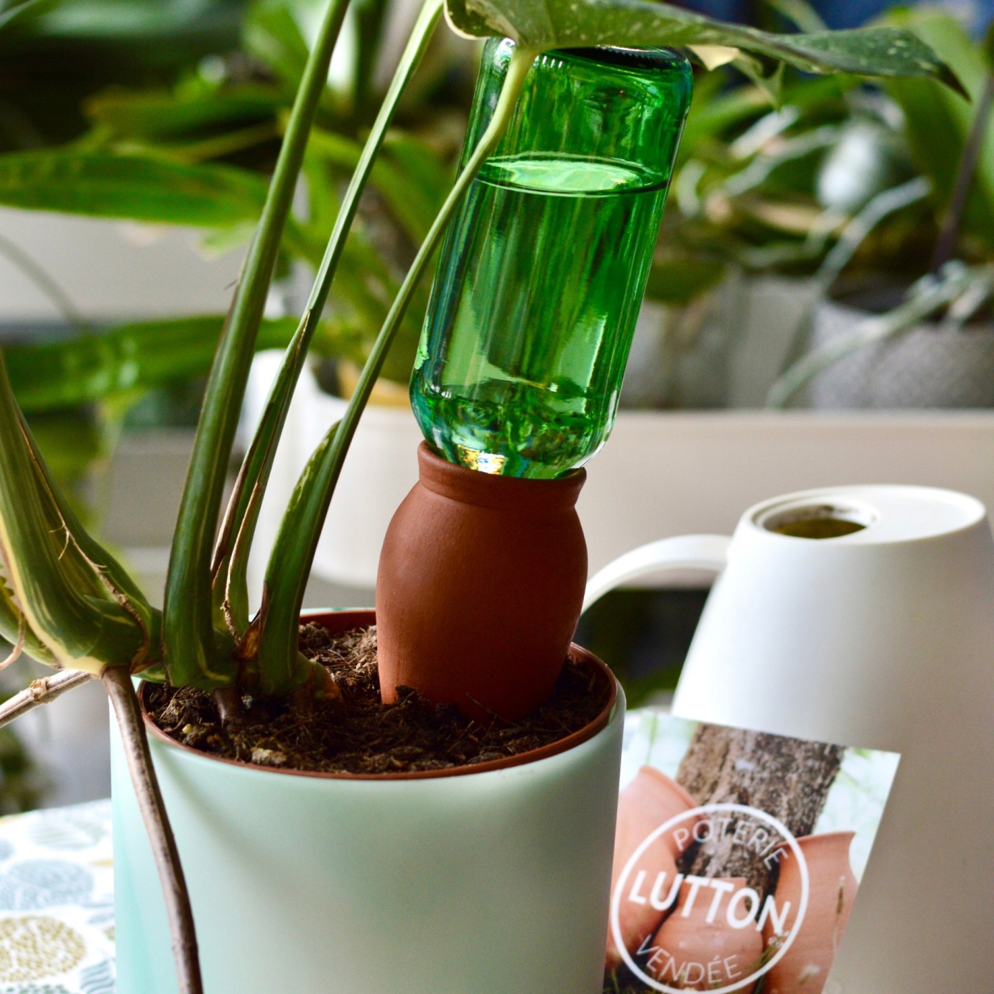 Kit Découverte Ollas : Arrosage Autonome et Écologique pour Potager - Testez Nos Ollas à Planter