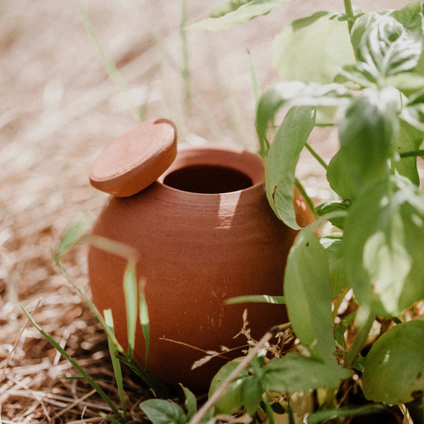 Kit Découverte Ollas : Arrosage Autonome et Écologique pour Potager - Testez Nos Ollas à Planter