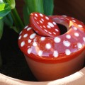 Ollas bolet - Ollas Lutton