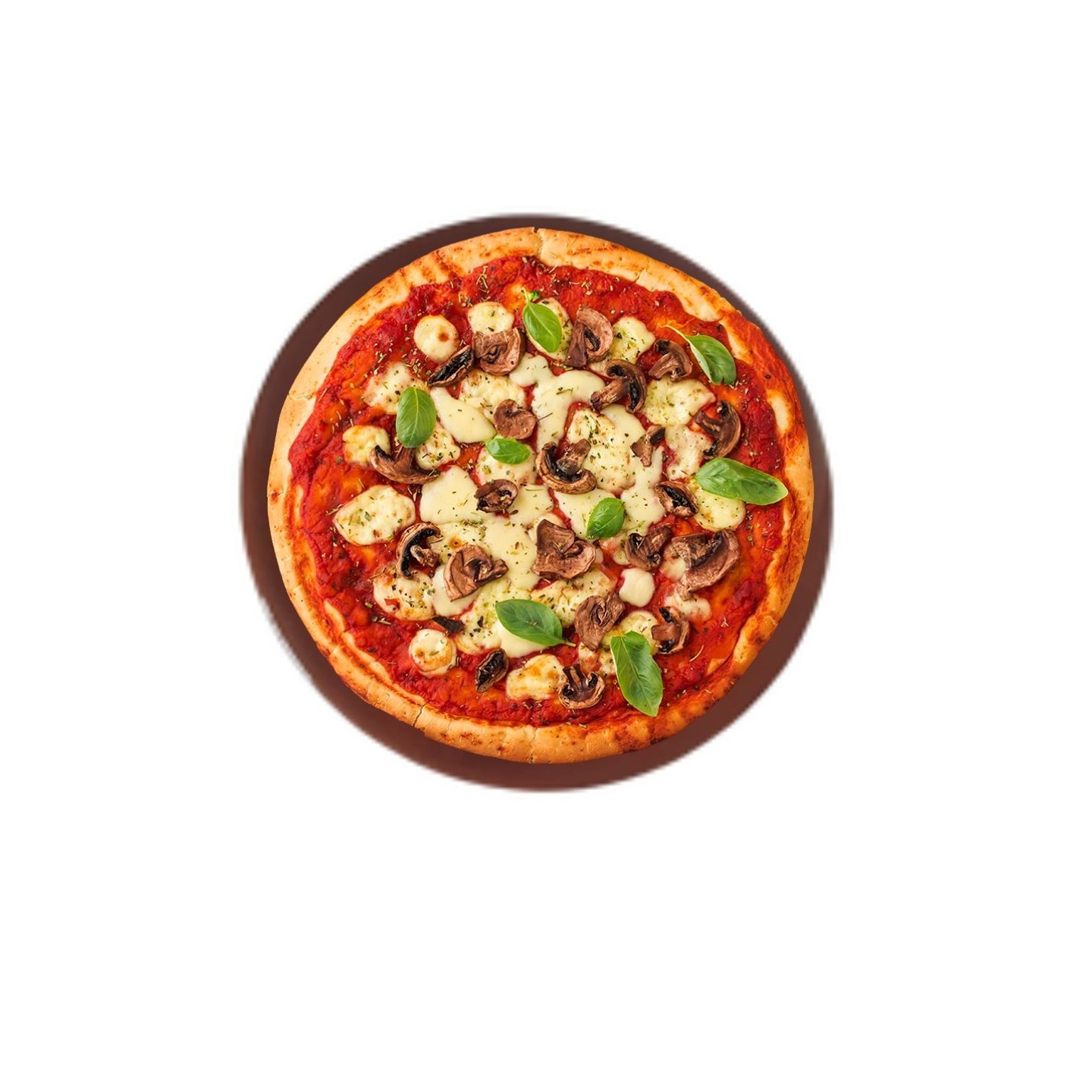 Pierre à Four Artisanale en Céramique -Refractaire