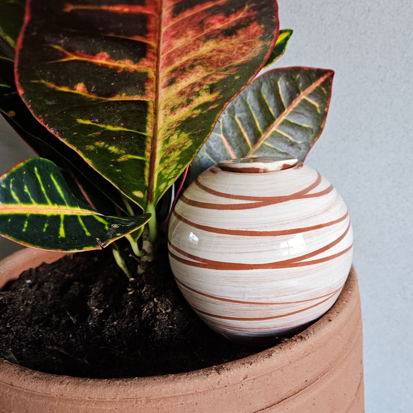 Ollas à planter Spiral - Ollas Lutton