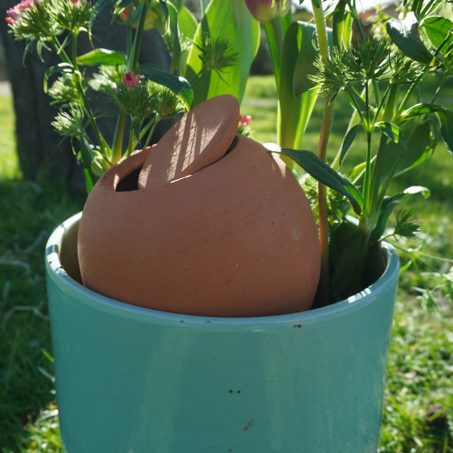Ollas à Planter Large 1L Nature – Arrosage Autonome Écologique pour Plantes d'Intérieur | Poterie Lutton