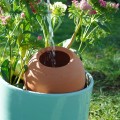 Ollas à Planter Large 1L Nature – Arrosage Autonome Écologique pour Plantes d'Intérieur | Poterie Lutton