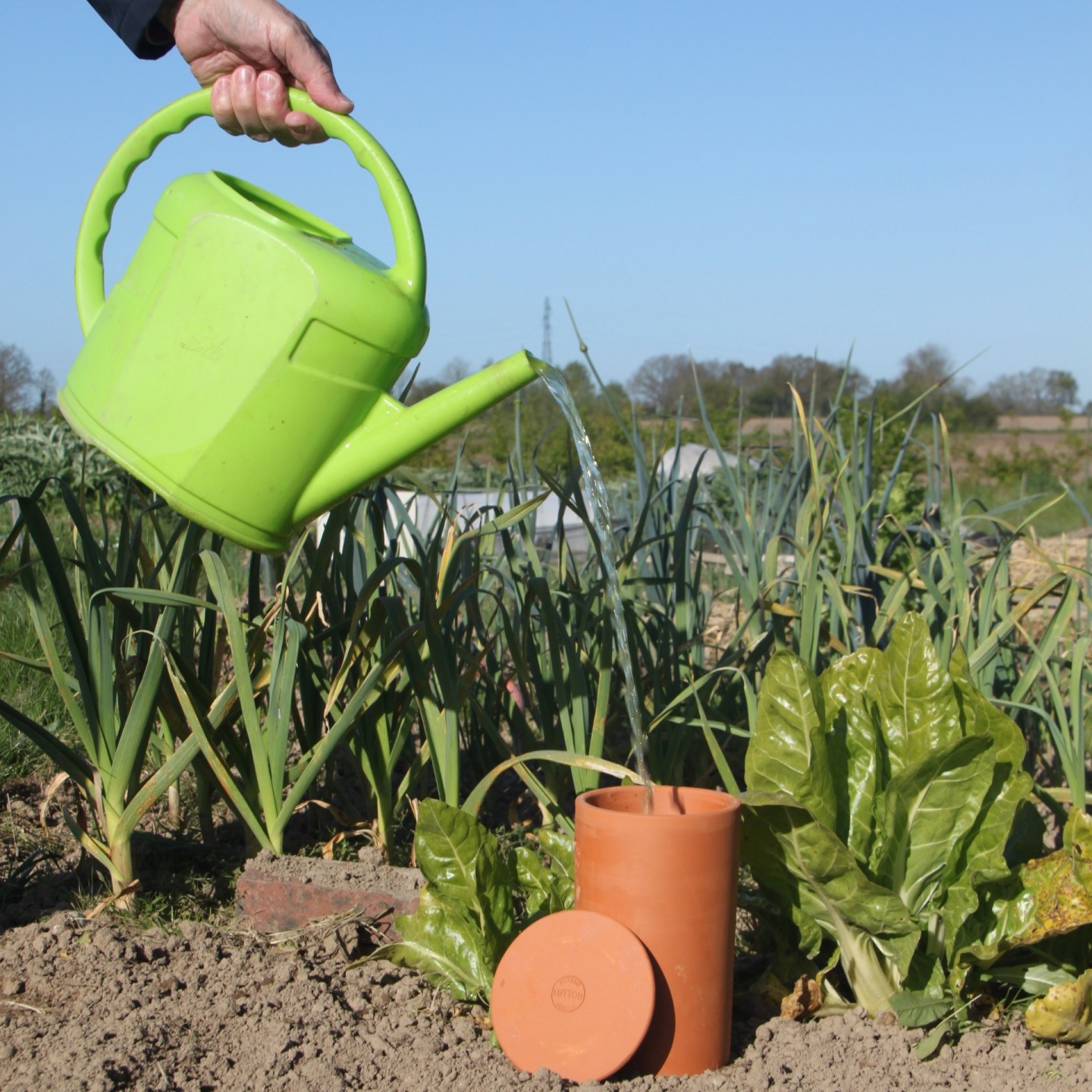 Lot de 2 Ollas Tube 2L – Difuseur Naturel d'eau