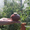 Ollas Galet : L'accessoire d’irrigation naturel pour vos plantes en pot