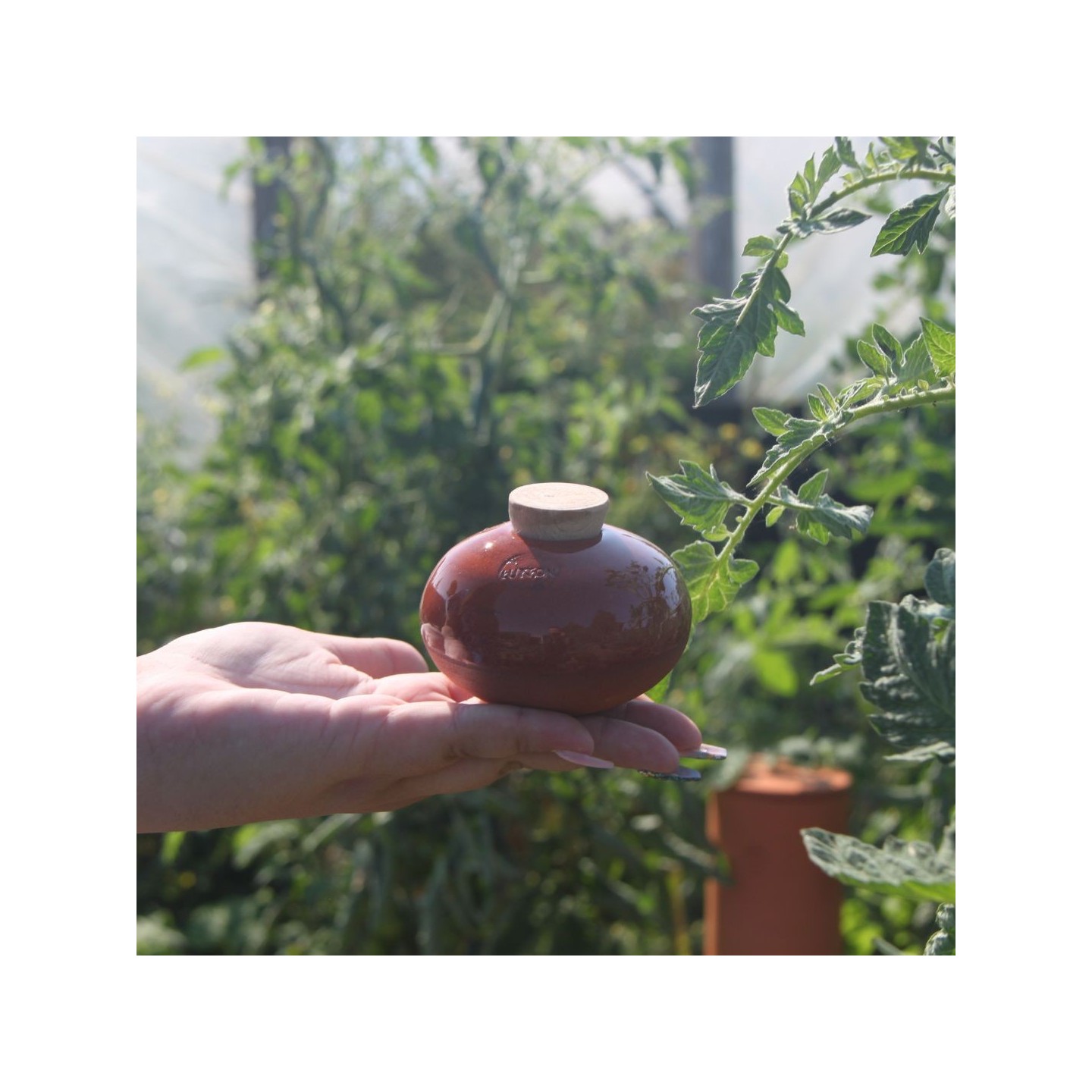 Ollas Galet : L'accessoire d’irrigation naturel pour vos plantes en pot