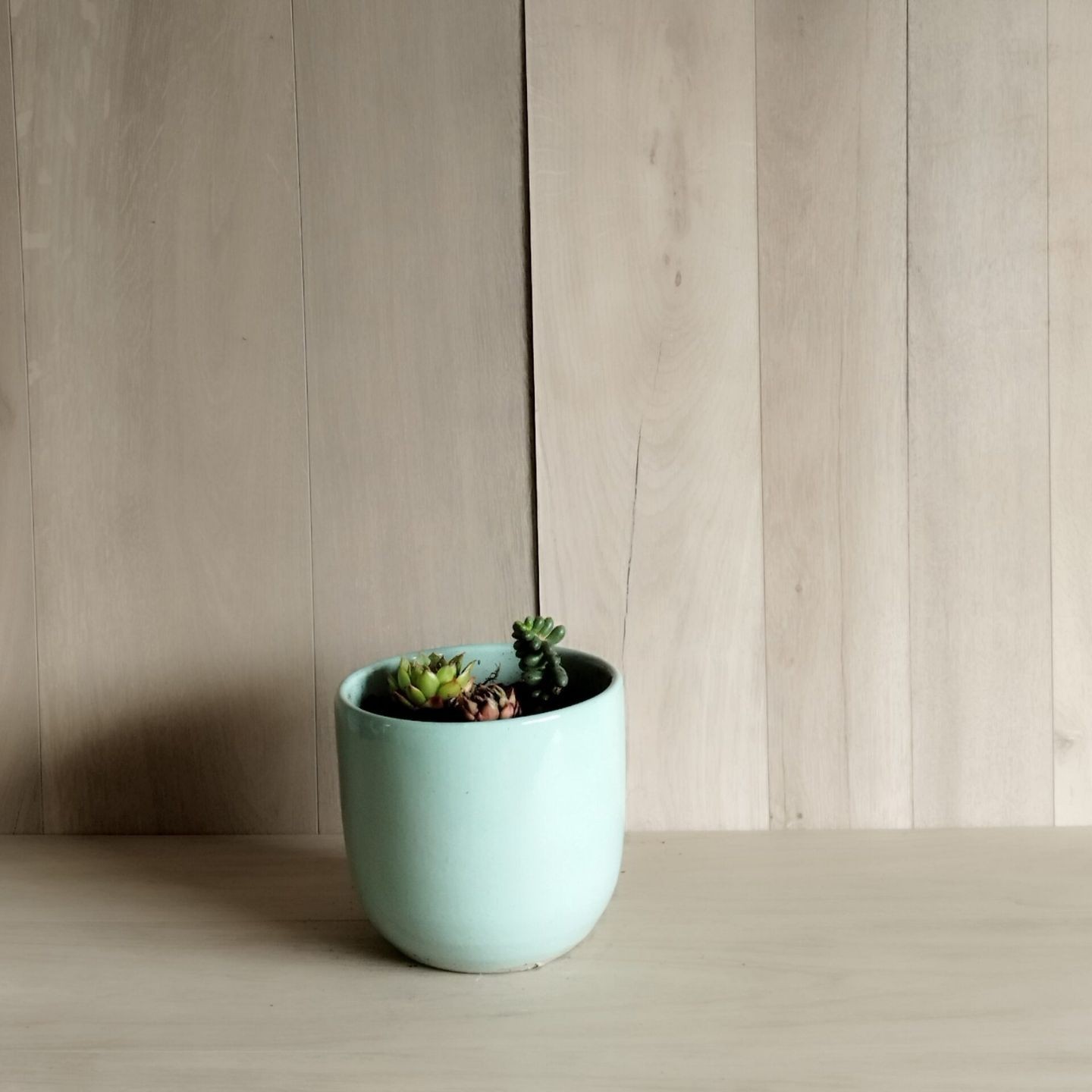 Cache pots-gamme Contemporain