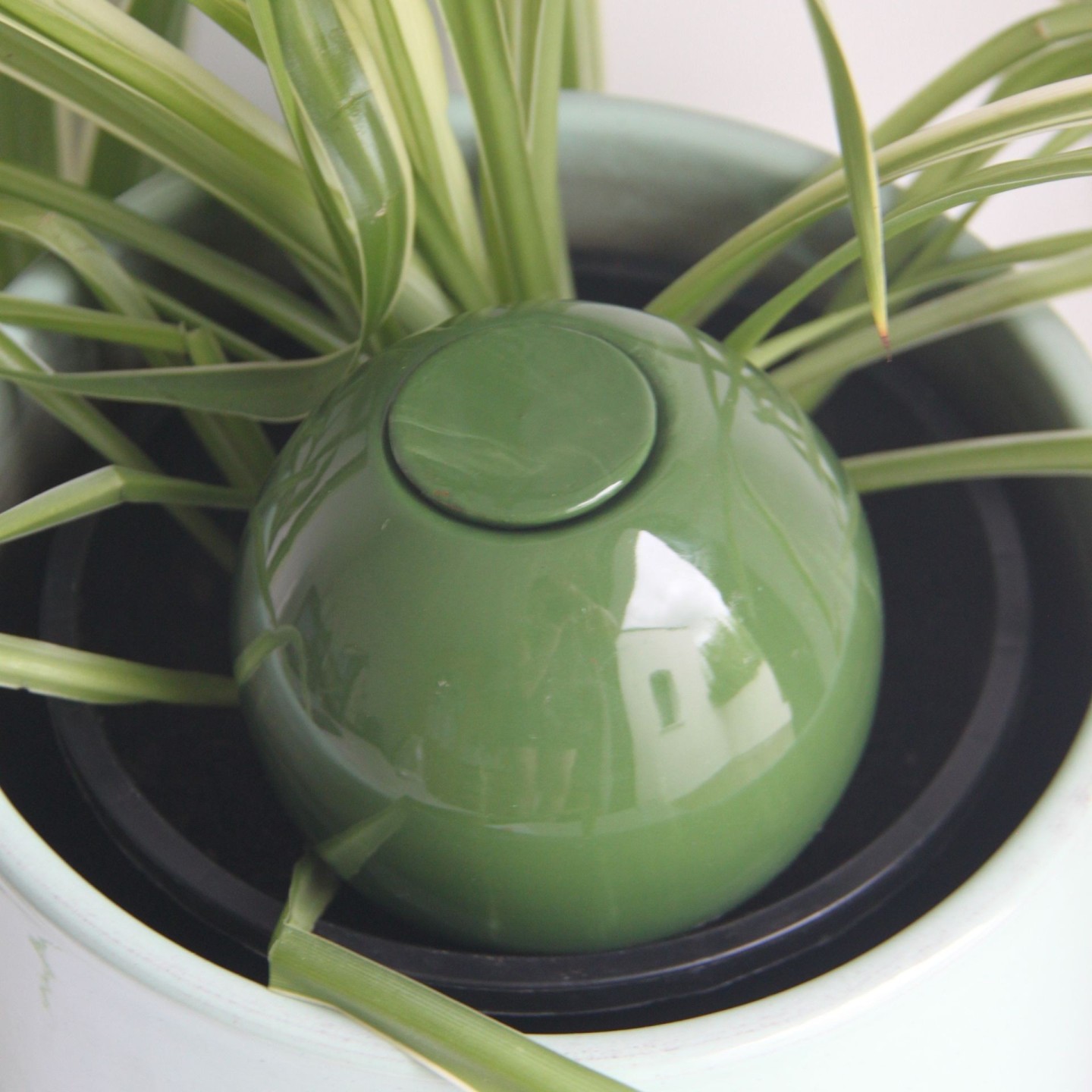 Ollas à Planter Medium -  Fabrication 100% artisanale en Vendée.