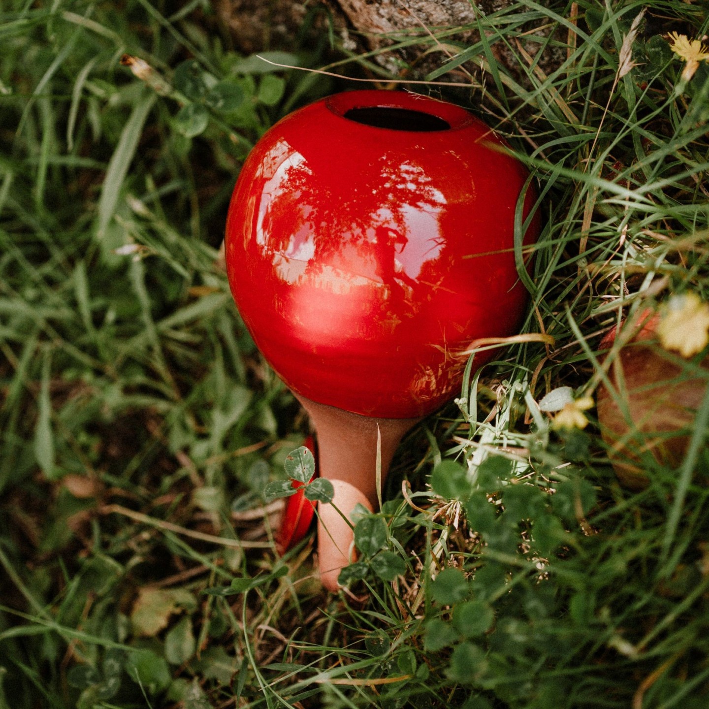 Ollas à Planter Medium -  Fabrication 100% artisanale en Vendée.