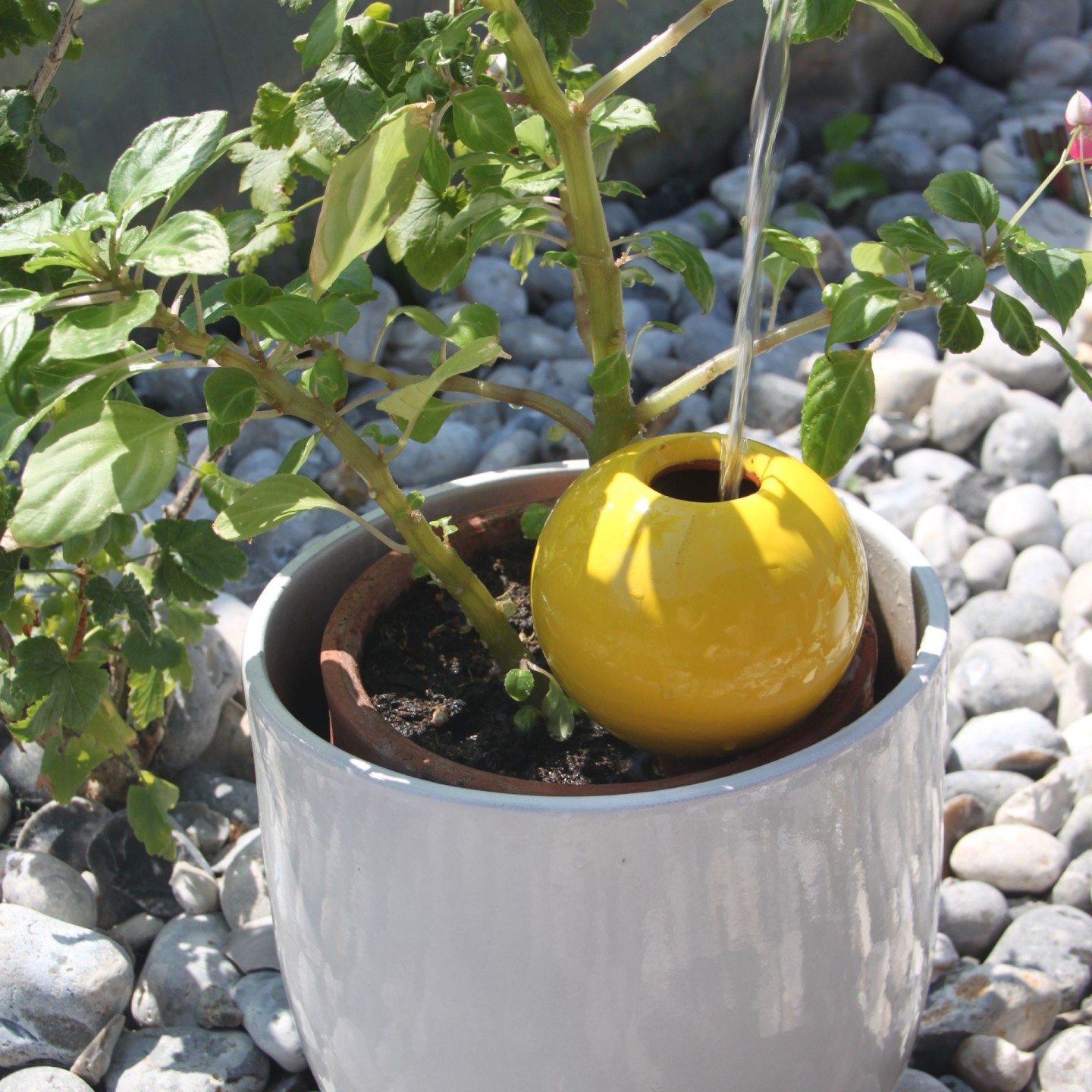 Ollas à Planter Medium -  Fabrication 100% artisanale en Vendée.