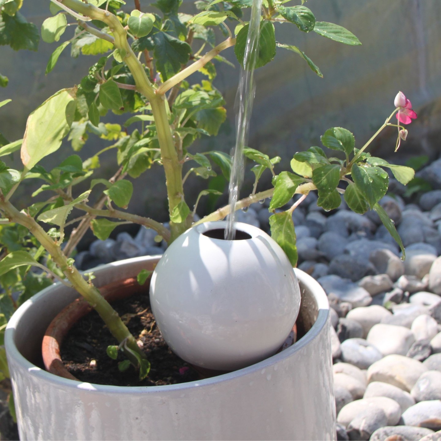 Ollas à Planter Medium -  Fabrication 100% artisanale en Vendée.