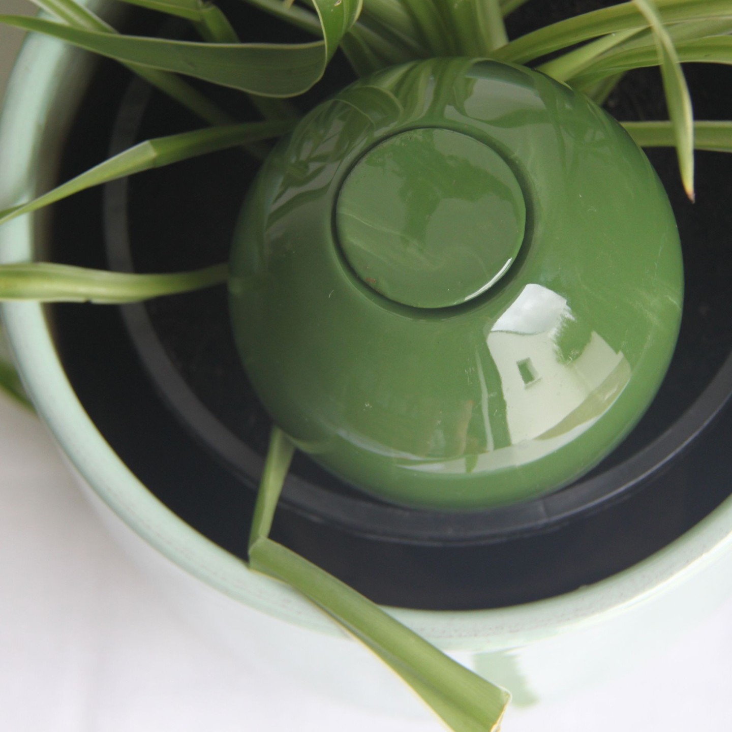 Ollas à Planter Medium -  Fabrication 100% artisanale en Vendée.