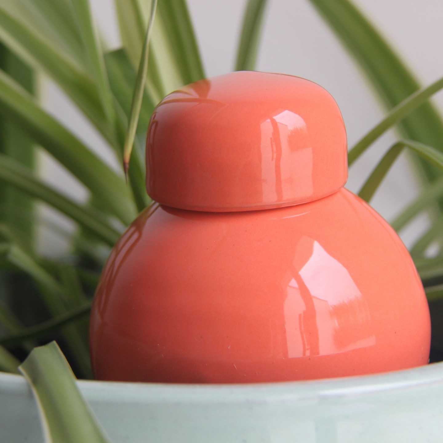 Ollas Sabeur – Ollas Lutton – Autonoomne kastmissüsteem