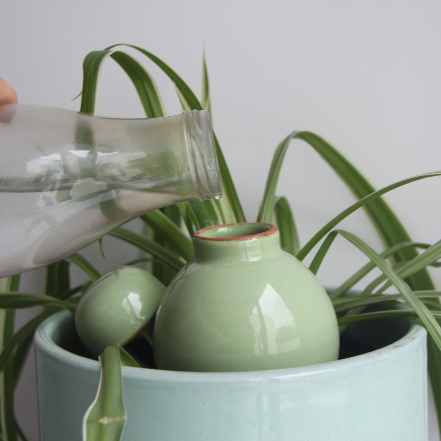 Ollas Sabeur – Ollas Lutton – Autonoomne kastmissüsteem