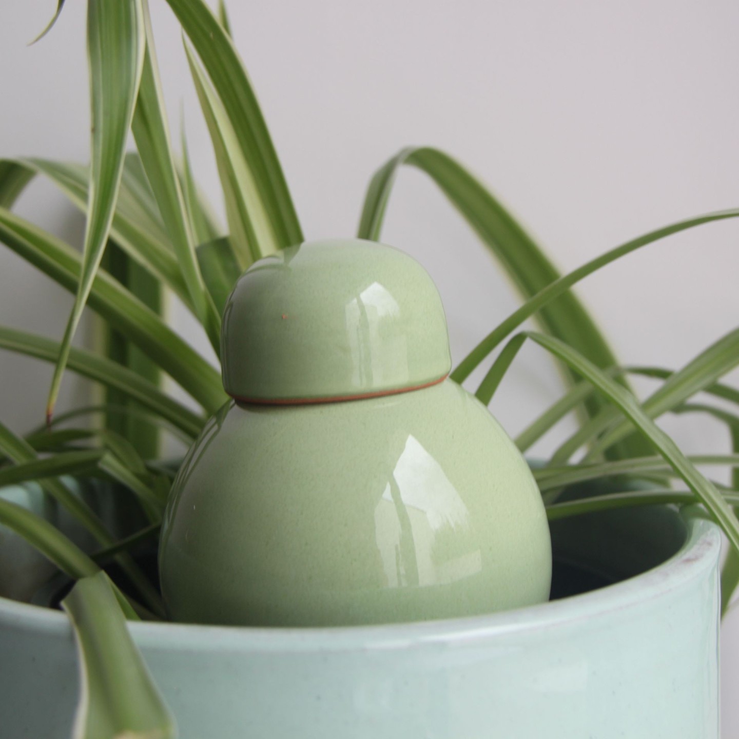 Ollas Sabeur – Ollas Lutton – Autonoomne kastmissüsteem