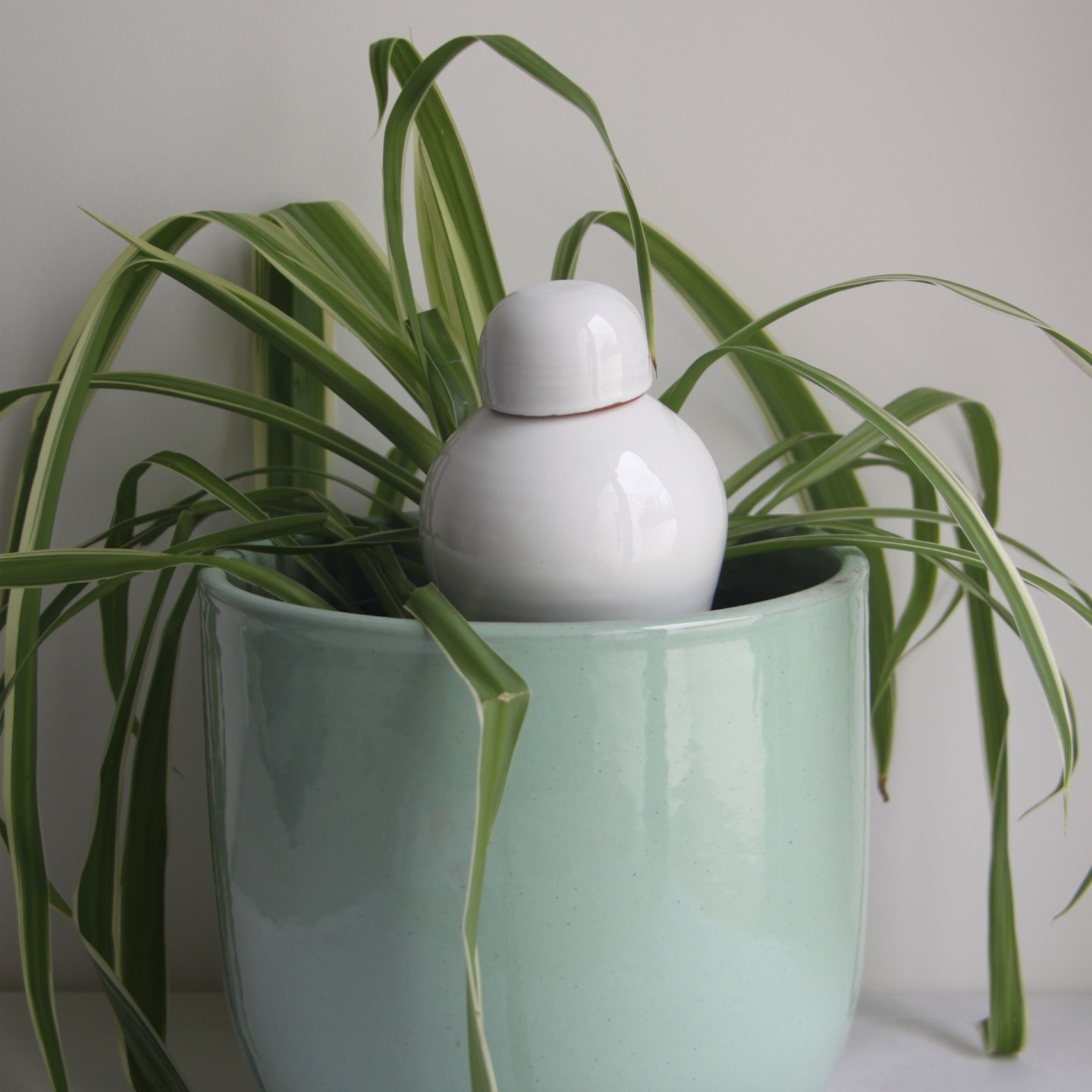 Ollas Sabeur – Ollas Lutton – Autonoomne kastmissüsteem