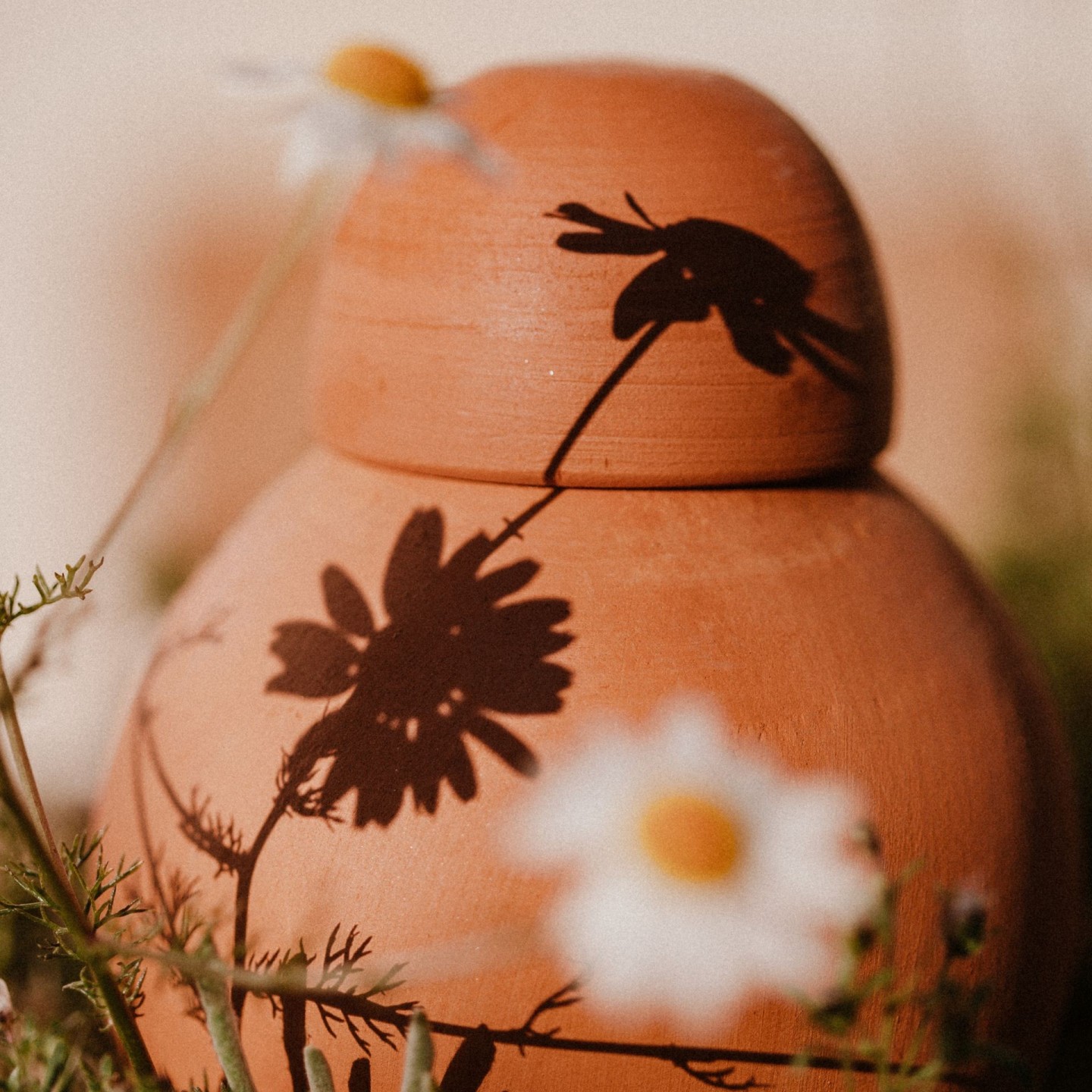 Ollas Sabeur – Ollas Lutton – Autonoomne kastmissüsteem