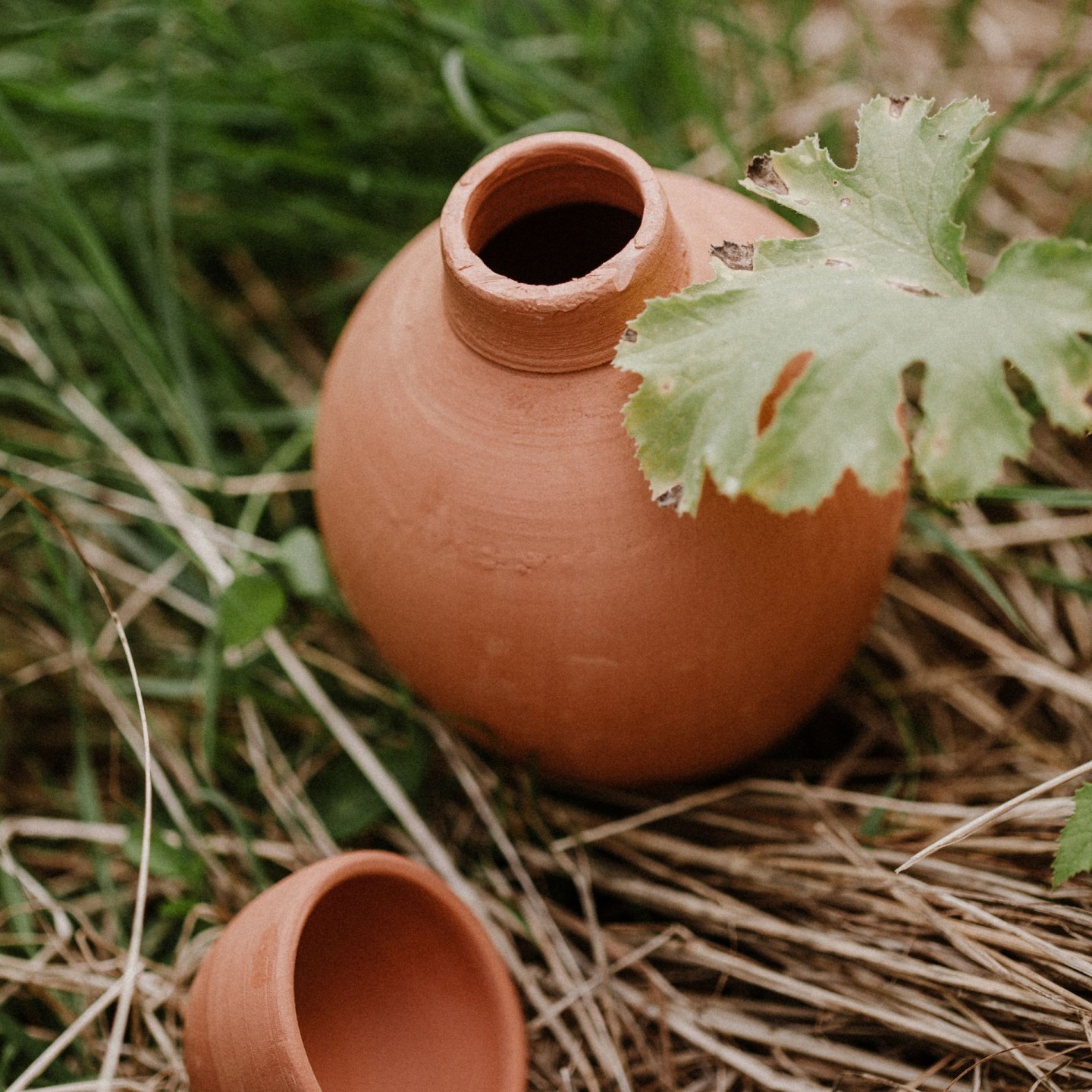 Ollas Sabeur – Ollas Lutton – Autonoomne kastmissüsteem