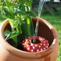 Ollas bolet - Ollas Lutton