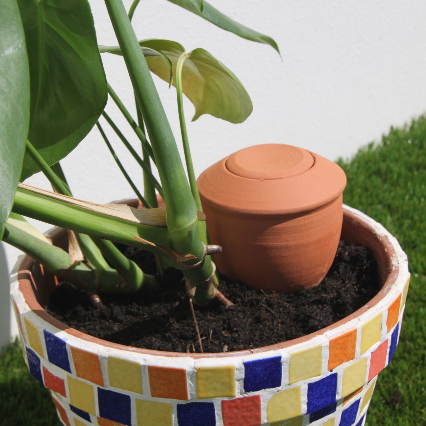Ollas Bolet : Irrigation Naturelle  - Artisanat Français
