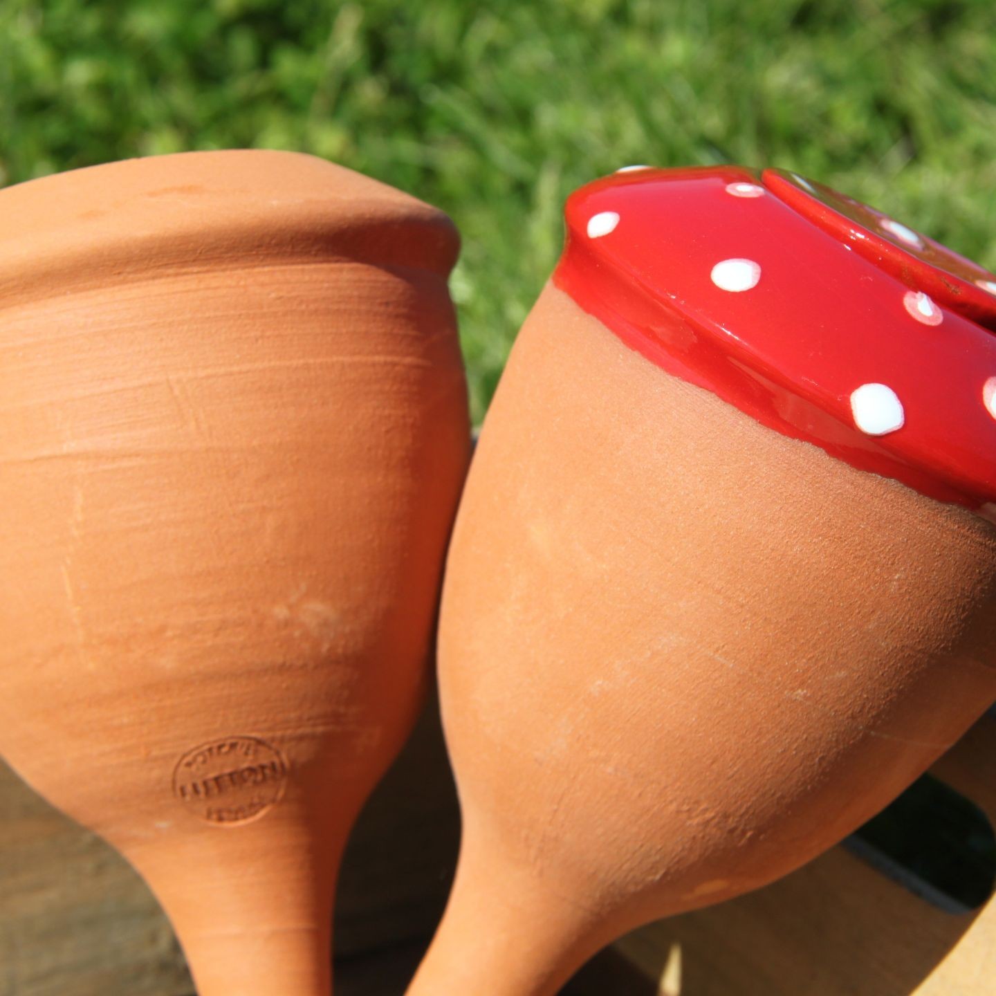 Ollas bolet - Ollas Lutton