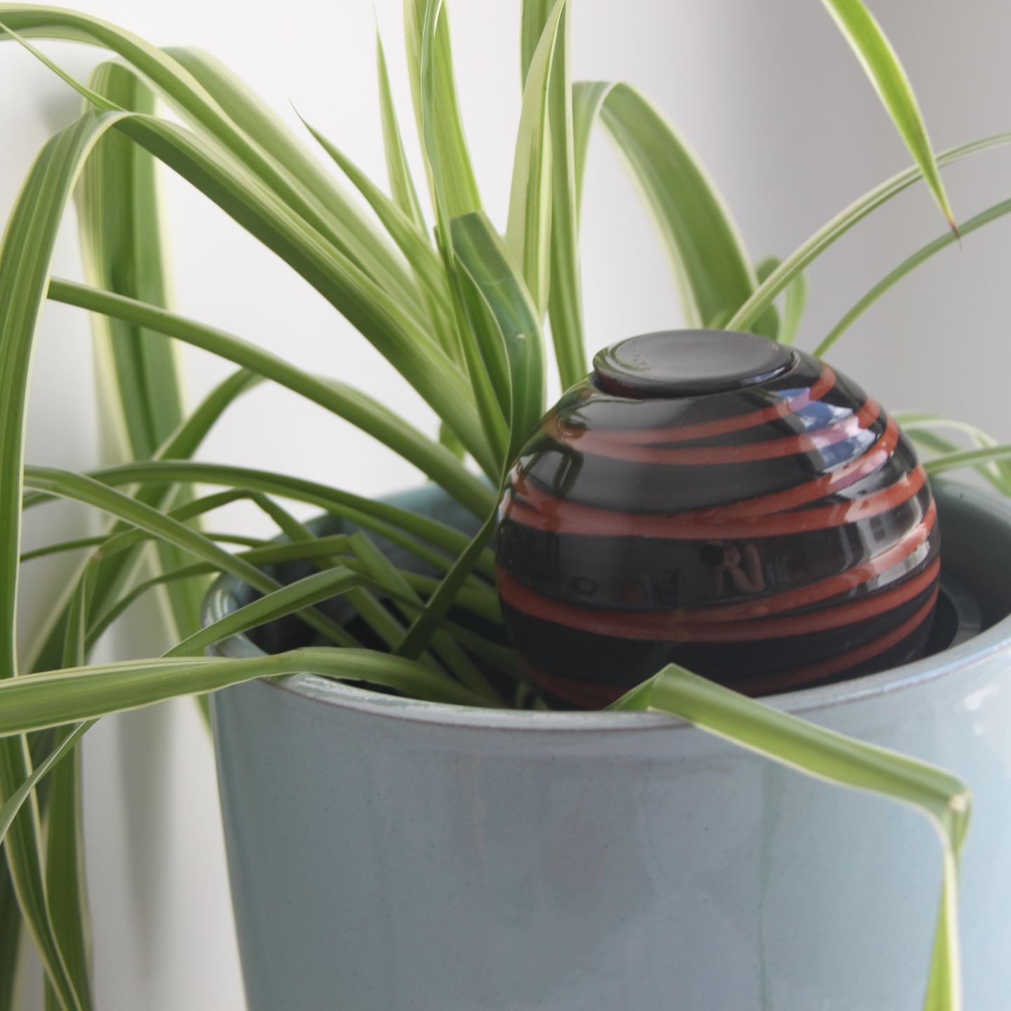 Ollas à Planter Spiral - Irrigation Autonome et Élégant