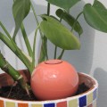 Ollas à Planter Pastel Pêche et Pistache | Arrosage Écologique et Design