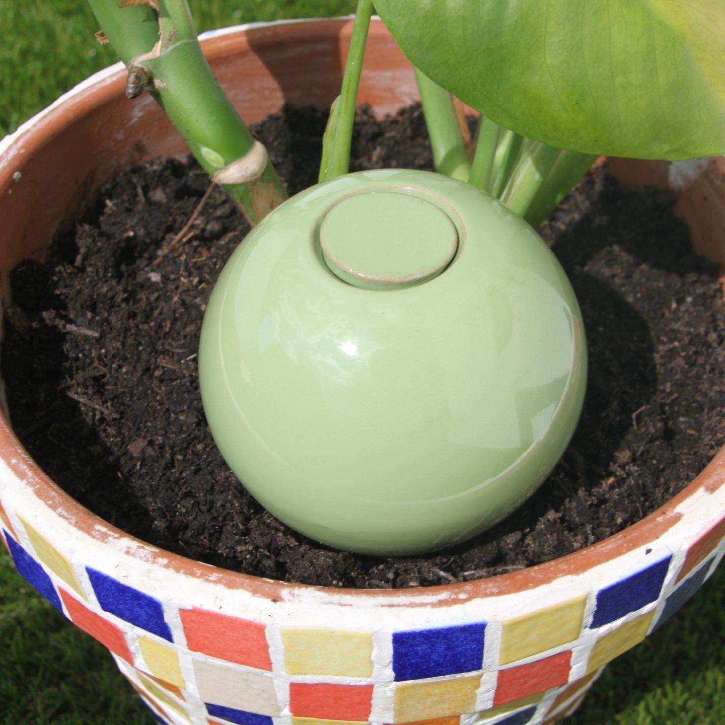 Ollas à Planter Pastel Acheter - Ollas Lutton - Diffuseur d'eau autonome