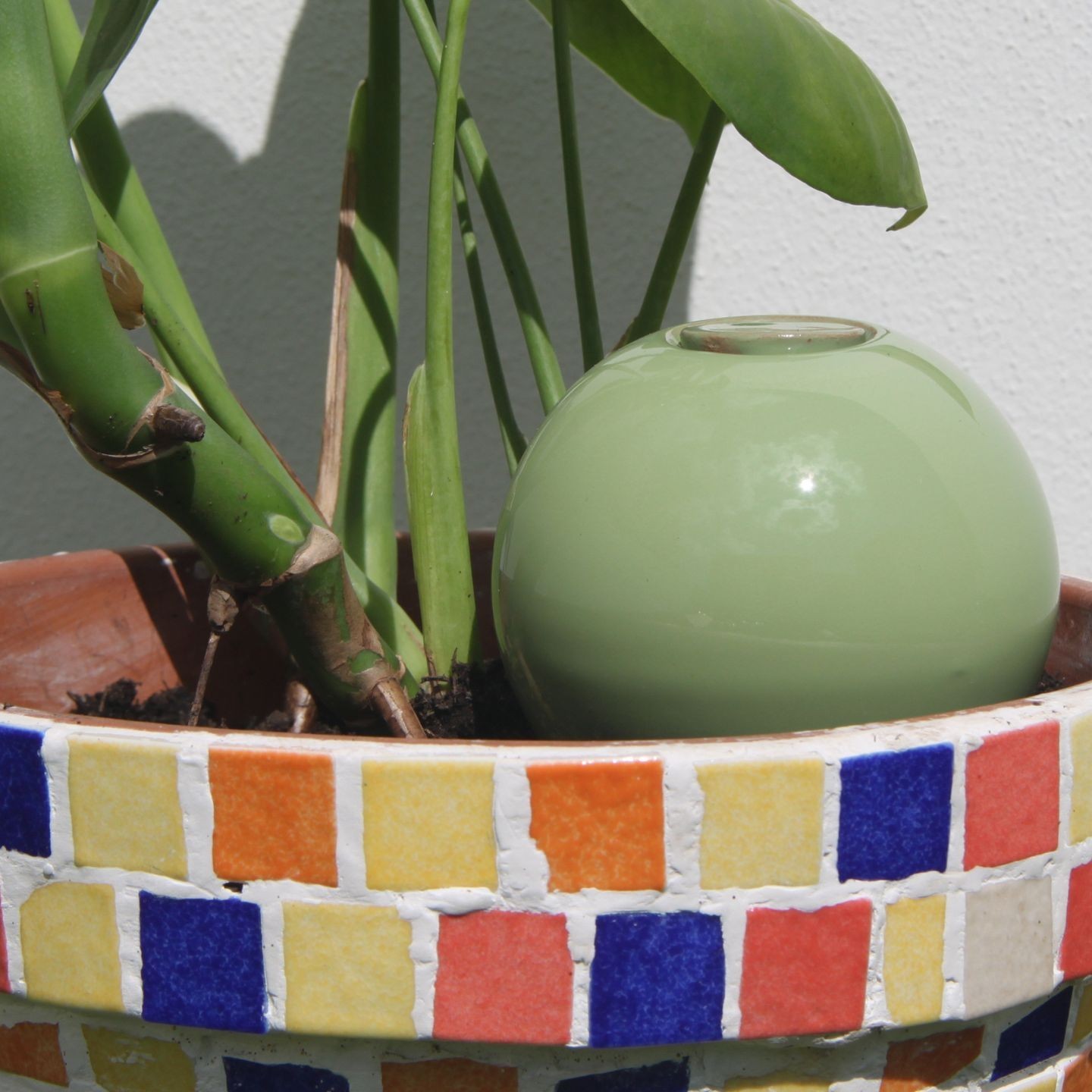 Ollas à Planter Pastel Acheter - Ollas Lutton - Diffuseur d'eau autonome