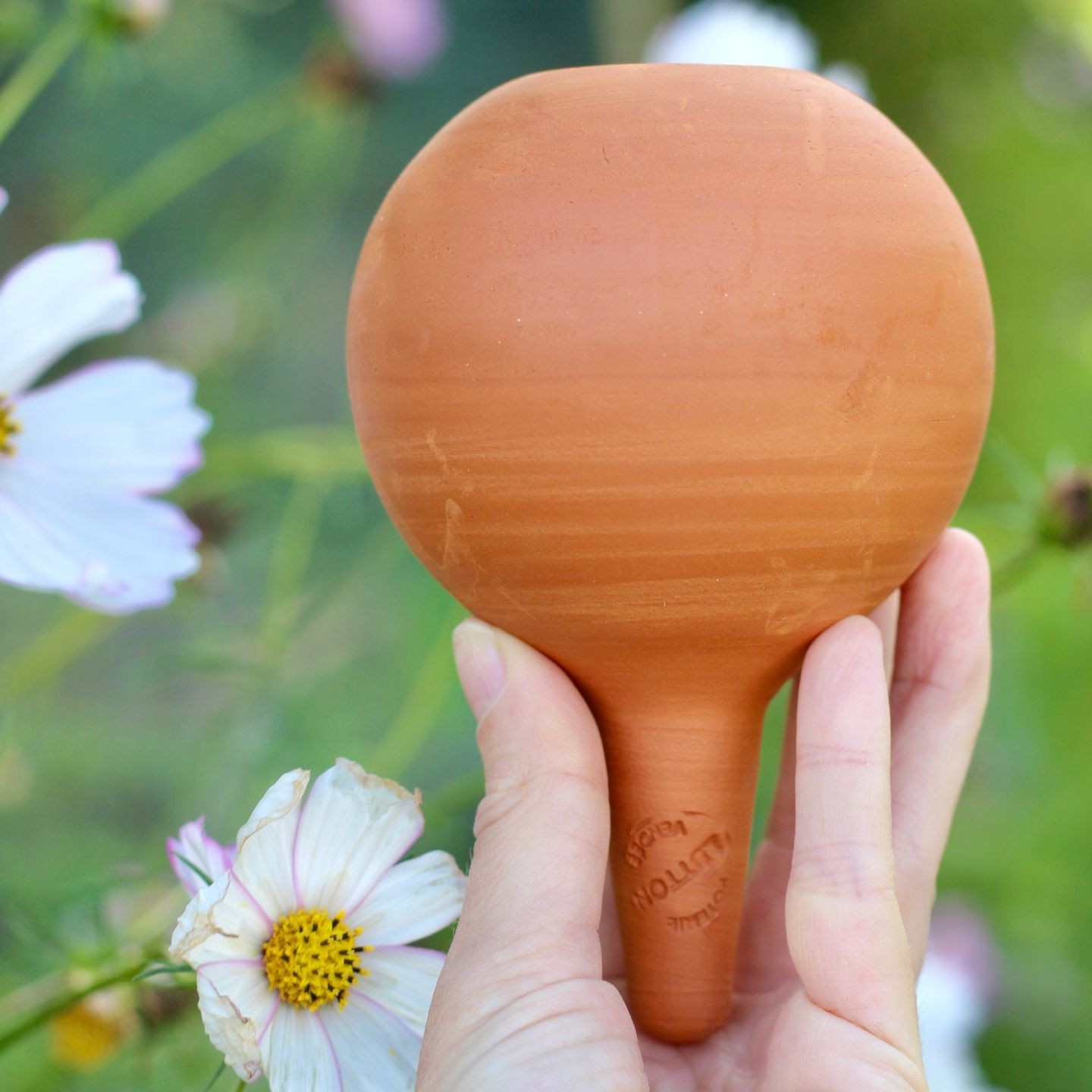 Mini Ollas à Planter Acheter - Ollas Lutton - Diffuseur d'eau autonome