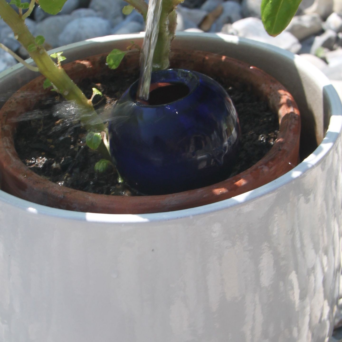 Mini Ollas à Planter Acheter - Ollas Lutton - Diffuseur d'eau autonome