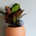 Mini Ollas à Planter Acheter - Ollas Lutton - Diffuseur d'eau autonome