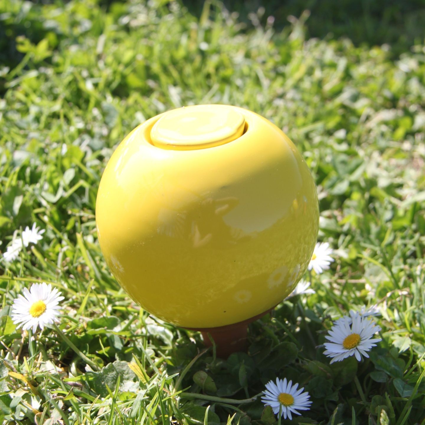 Mini Ollas à Planter Acheter - Ollas Lutton - Diffuseur d'eau autonome