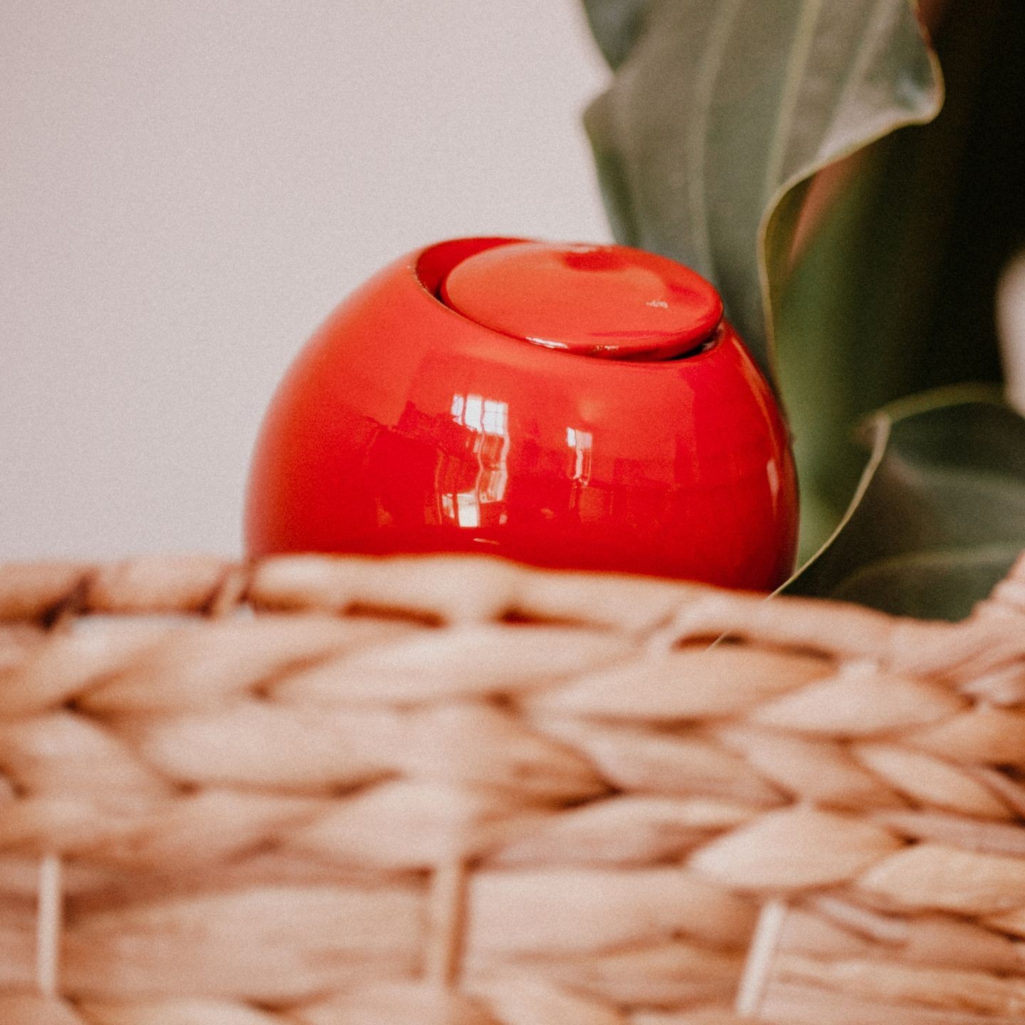 Mini Ollas à Planter Acheter - Ollas Lutton - Diffuseur d'eau autonome