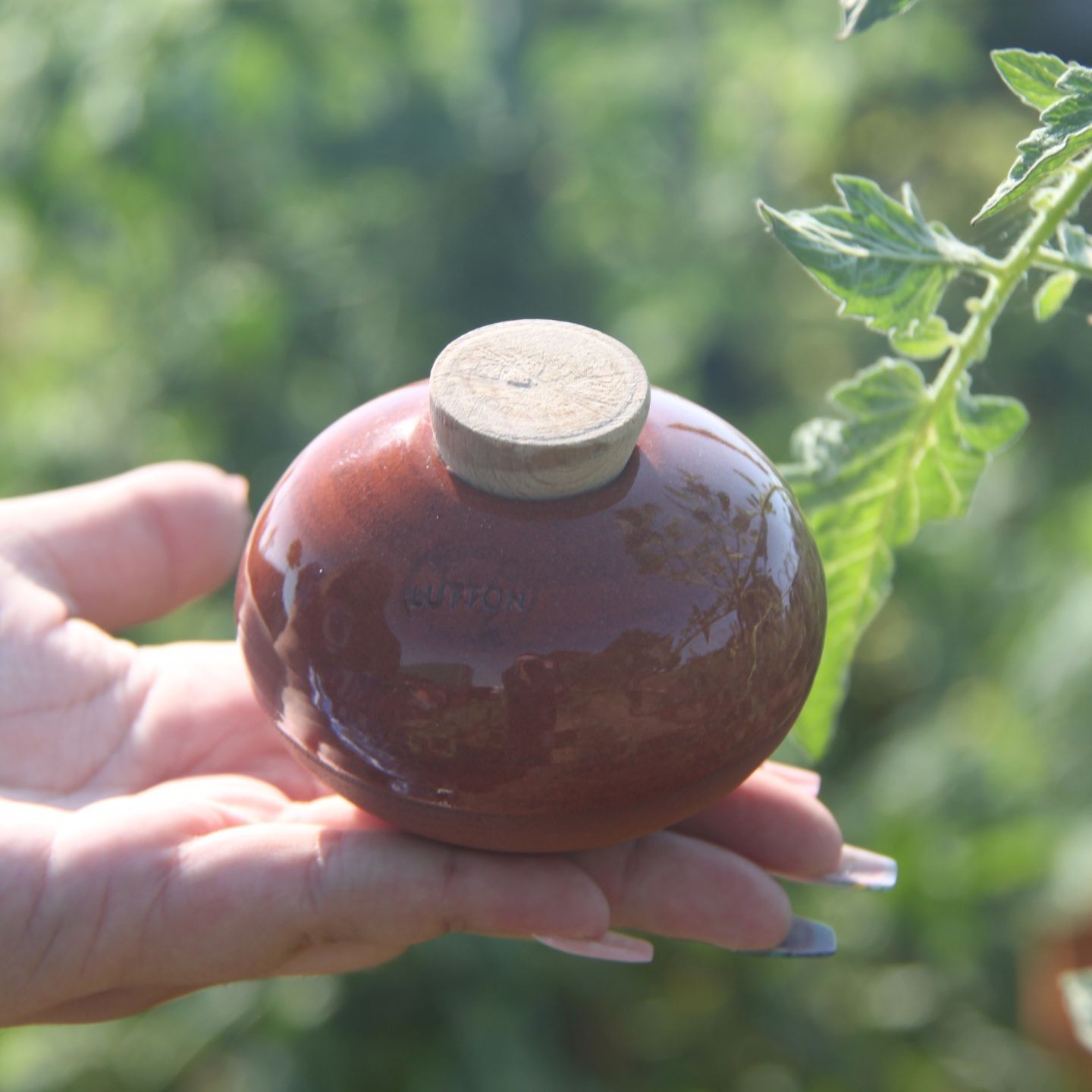 Ollas Galet : L'accessoire d’irrigation naturel pour vos plantes en pot