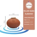 Ollas Galet : L'accessoire d’irrigation naturel pour vos plantes en pot