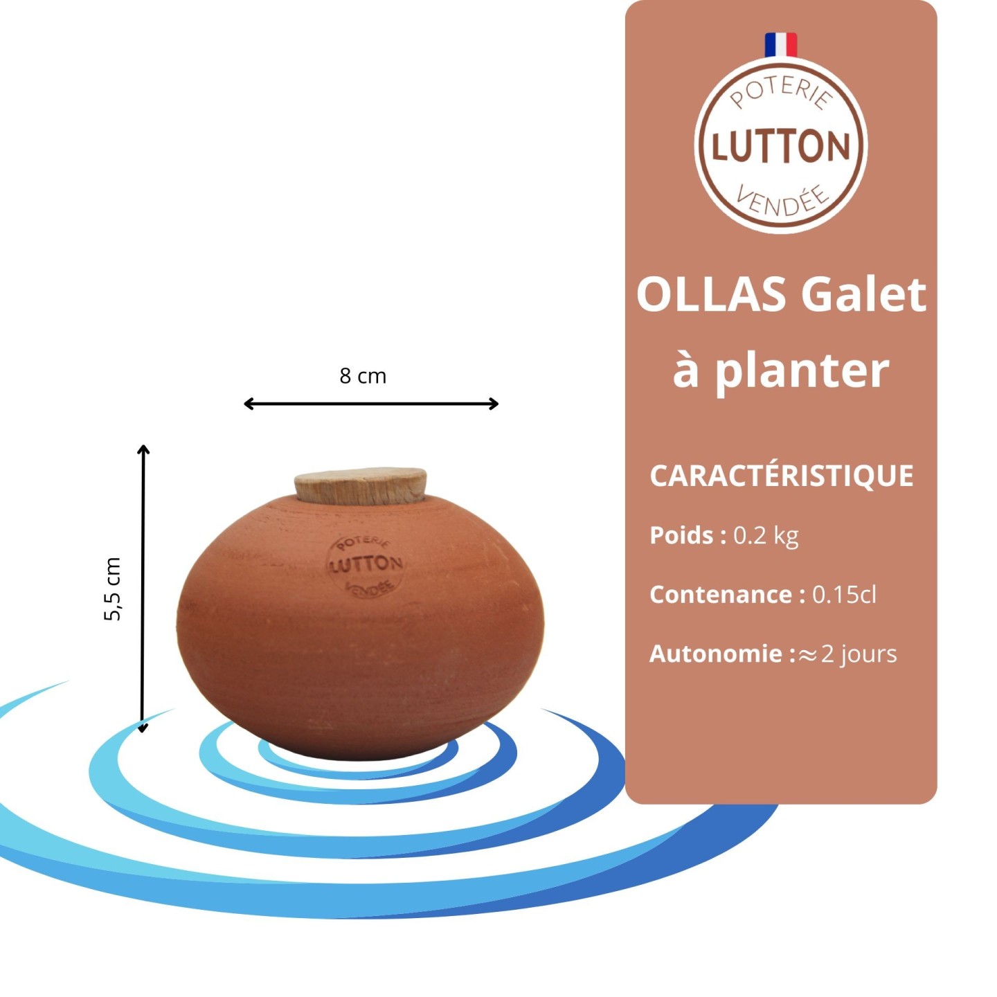 Ollas Galet : L'accessoire d’irrigation naturel pour vos plantes en pot