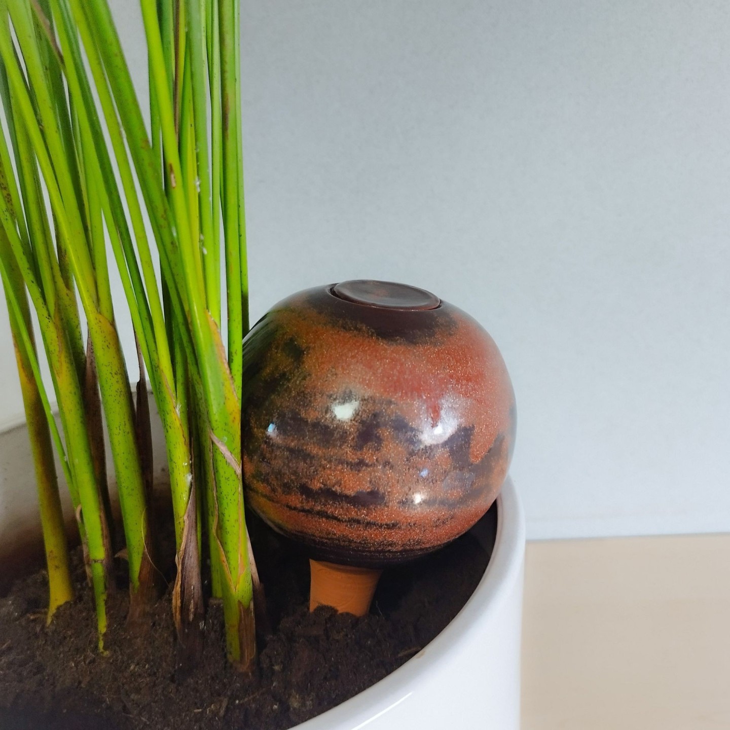 Panier Surprise à Ollas Planter  à un prix imbatable de 14 euros