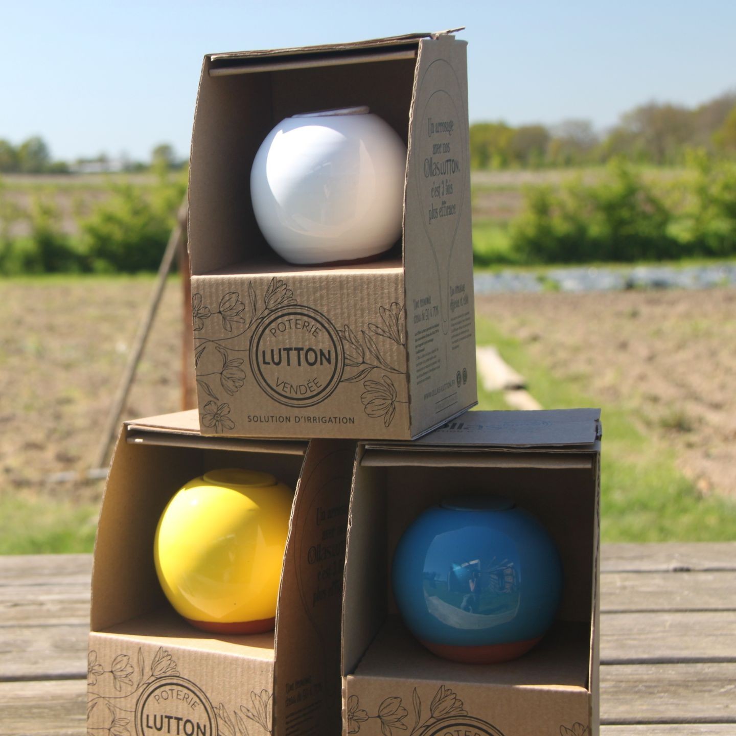 Emballage pour ollas à planter - Ollas Lutton