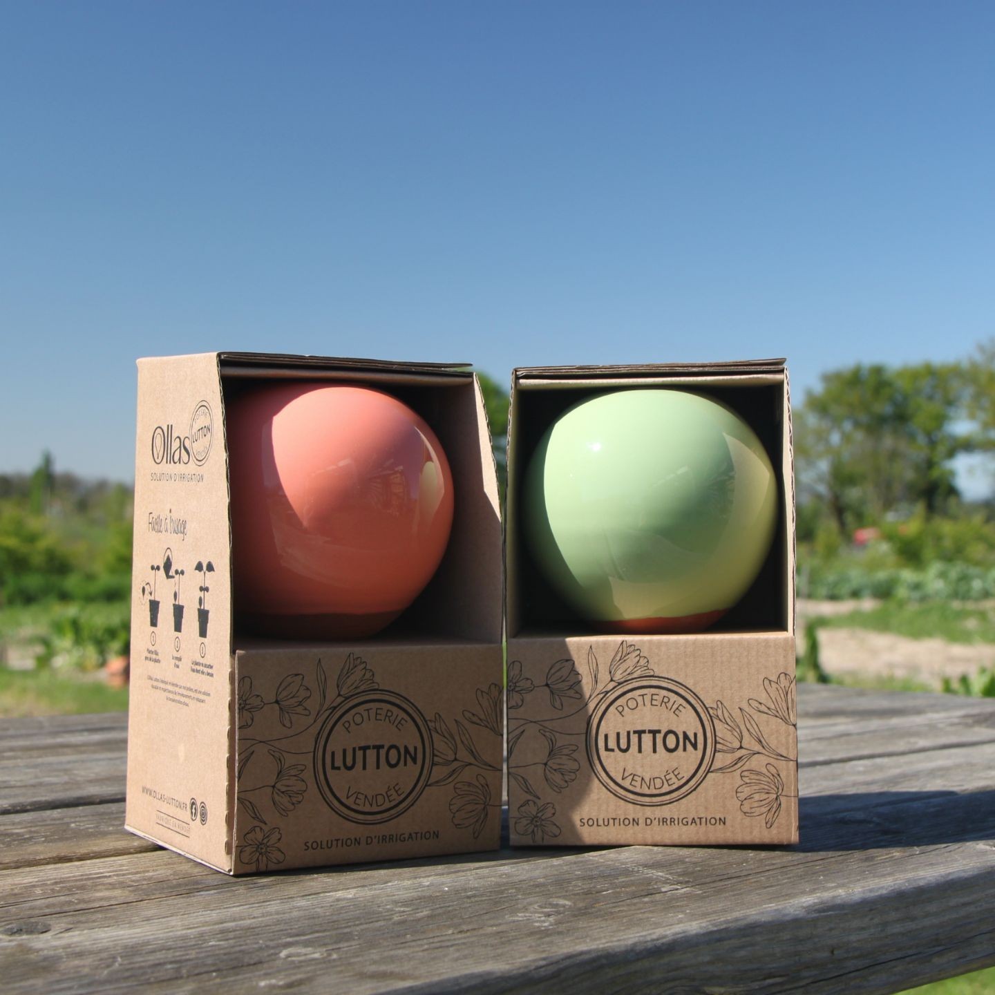 Emballage pour ollas à planter - Ollas Lutton