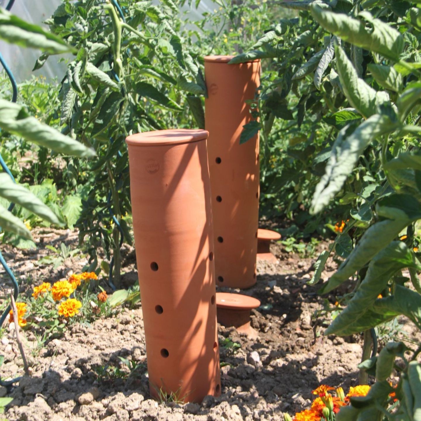Le Composteur à Enterrer en Poterie – Une Solution Naturelle pour un Jardin Florissant