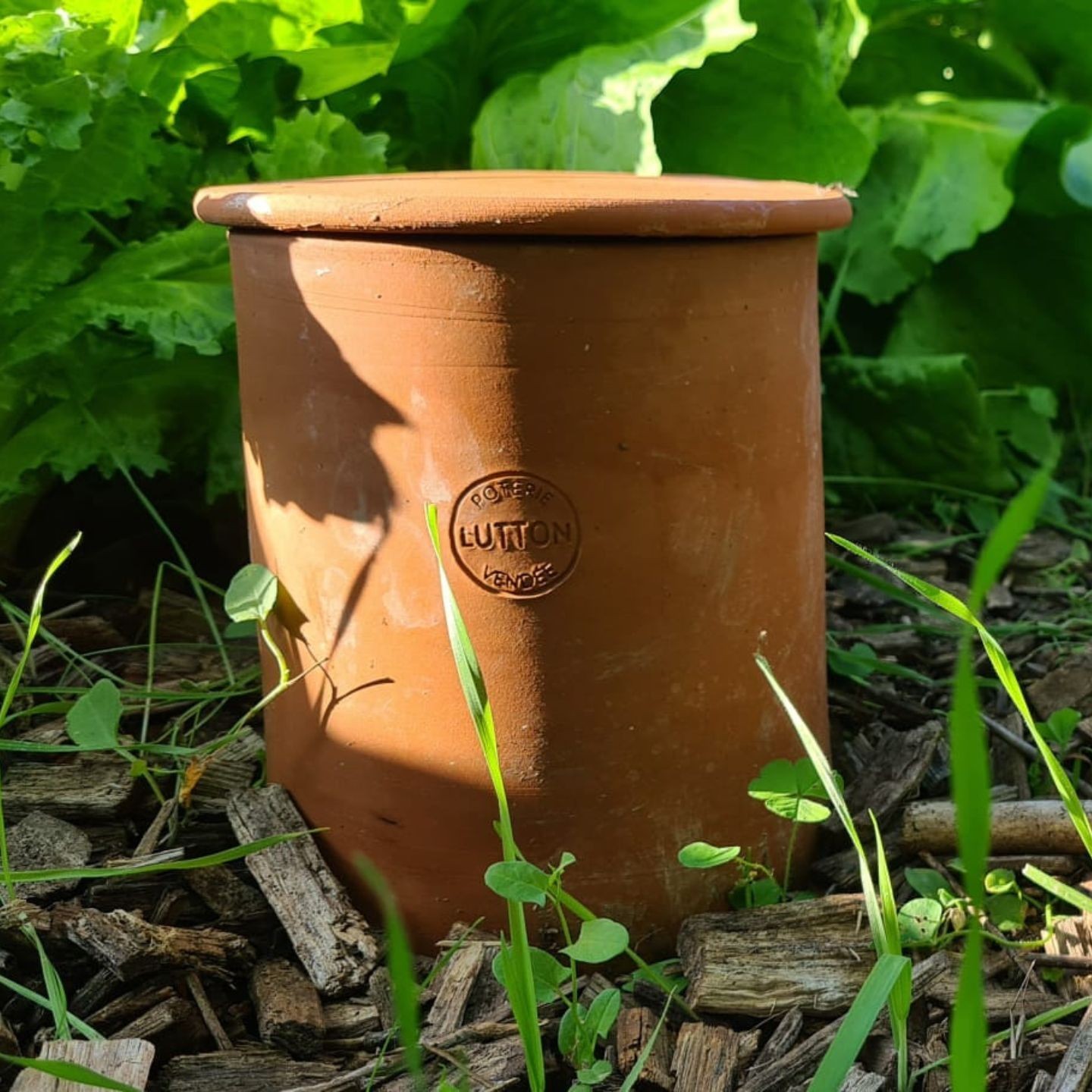 Le Composteur à Enterrer en Poterie – Une Solution Naturelle pour un Jardin Florissant