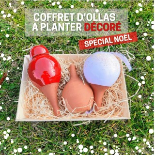Coffret d'ollas à planter décoré