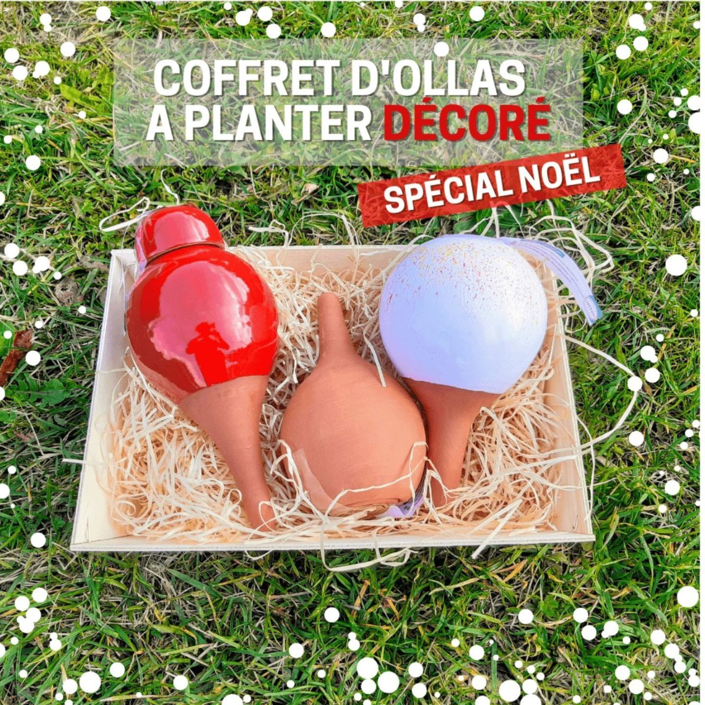 Coffret d’ollas décoré pour plantes d’intérieur