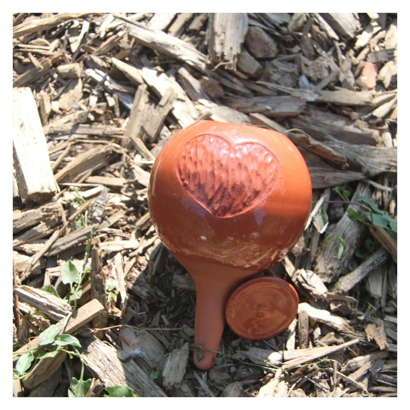 Olla Cœur Gravé – Édition Limitée | Arrosage Naturel pour offrir